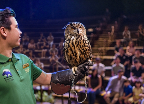 ナイトサファリ